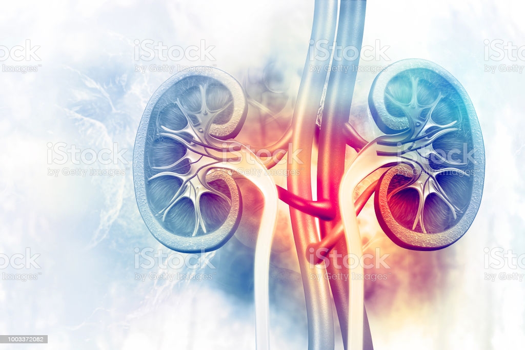 Renal Disease Prevention